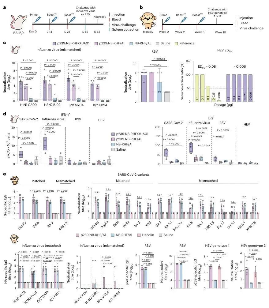 2f7528cde994e2995e3af40aa78d88a4.jpg 2f7528cde994e2995e3af40aa78d88a4.jpg